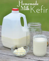 https://image.sistacafe.com/w200/images/uploads/content_image/image/297090/1486482674-Homemade-Milk-Kefir-with-text-640.jpg