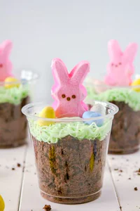 https://image.sistacafe.com/w200/images/uploads/content_image/image/319358/1489730112-gallery-1484936590-bunny-dirt-cups-4.jpg