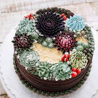 https://image.sistacafe.com/w200/images/uploads/content_image/image/328098/1491110327-succulent-terrarium-cakes-cupcakes-ivenoven-4-58da6d9f4383d__700.jpg