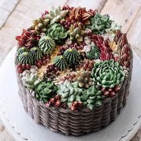 https://image.sistacafe.com/w200/images/uploads/content_image/image/328103/1491110438-succulent-terrarium-cakes-cupcakes-ivenoven-2-58da6d4cb53f5__700.jpg
