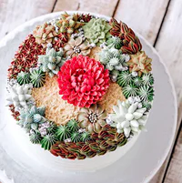 https://image.sistacafe.com/w200/images/uploads/content_image/image/328116/1491110708-succulent-terrarium-cakes-cupcakes-ivenoven-21-58db83dd323e5__700.jpg