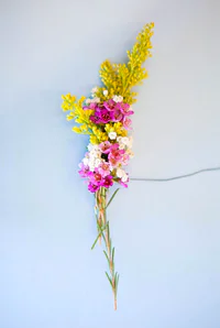 https://image.sistacafe.com/w200/images/uploads/content_image/image/331424/1491547496-53a06d4abd926_-_cos-09-flowercrown-de.jpg