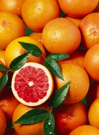 https://image.sistacafe.com/w200/images/uploads/content_image/image/332446/1491719520-1467026062-1429304966-ruby-red-grapefruit-getty.jpg