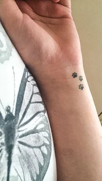 https://image.sistacafe.com/w200/images/uploads/content_image/image/339581/1492585296-catty-tattoos-2.jpg