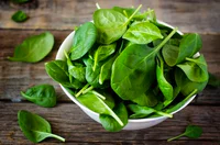 https://image.sistacafe.com/w200/images/uploads/content_image/image/345859/1493210457-white-bowl-with-fresh-spinach-leaves.jpg