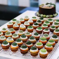 https://image.sistacafe.com/w200/images/uploads/content_image/image/351583/1494178507-succulent-terrarium-cakes-cupcakes-ivenoven-12-58da6ff4a3b8c__700.jpg