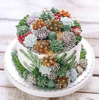 https://image.sistacafe.com/w200/images/uploads/content_image/image/351584/1494178516-succulent-terrarium-cakes-cupcakes-ivenoven-6-58da6f1658adb__700.jpg