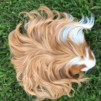 https://image.sistacafe.com/w200/images/uploads/content_image/image/357977/1495112353-long-haired-guinea-pigs-58fde6ce7d342__700.jpg
