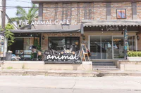https://image.sistacafe.com/w200/images/uploads/content_image/image/361707/1495592304-The_animal_cafe_9492.jpg