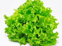 https://image.sistacafe.com/w200/images/uploads/content_image/image/366034/1496157324-lettuce2.jpg