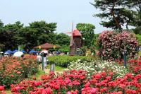 https://image.sistacafe.com/w200/images/uploads/content_image/image/367300/1496321120-tthq-seoul-grand-park.jpg