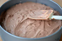 https://image.sistacafe.com/w200/images/uploads/content_image/image/370697/1496839971-Chocolate_Ice_Cream_Recipe.jpg