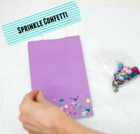 https://image.sistacafe.com/w200/images/uploads/content_image/image/37704/1442490272-Confetti-Dipped-Bags-Sprinkle1.jpg