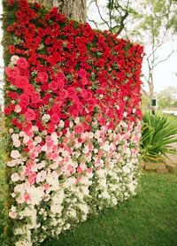 https://image.sistacafe.com/w200/images/uploads/content_image/image/377345/1497504911-Rose-ombre-wedding-backdrop-ideas.jpg