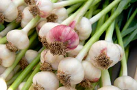 https://image.sistacafe.com/w200/images/uploads/content_image/image/383270/1498194086-garlic-stems.jpg.638x0_q80_crop-smart.jpg