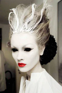 https://image.sistacafe.com/w200/images/uploads/content_image/image/43034/1444115248-Ghoulish-Snow-Queen.jpeg