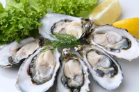 https://image.sistacafe.com/w200/images/uploads/content_image/image/44431/1444375251-oysters.jpg