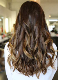 https://image.sistacafe.com/w200/images/uploads/content_image/image/46936/1444915337-Dark-brown-ombre-hairstyle-to-blonde-long-balayage-hairstyle.jpg