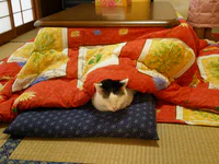 https://image.sistacafe.com/w200/images/uploads/content_image/image/51566/1446084851-kotatsu-japanese-heating-bed-table-10.jpg