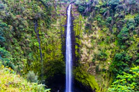 https://image.sistacafe.com/w200/images/uploads/content_image/image/540465/1516377106-akaka-falls-things-to-do-on-the-big-isla_CC_88nd-of-hawaii-2.jpg