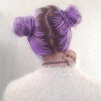 https://image.sistacafe.com/w200/images/uploads/content_image/image/59903/1448118355-Two-Buns-Soft-Grunge-Hair-Purple-Hairstyle.jpg