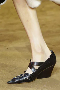 https://image.sistacafe.com/w200/images/uploads/content_image/image/61043/1448359708-03-spring-2016-shoe-trends-pointed-toe-heels-celine-h724.jpg