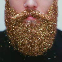 https://image.sistacafe.com/w200/images/uploads/content_image/image/61820/1448508745-glitter-beard-trend-87__700.jpg
