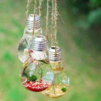 https://image.sistacafe.com/w200/images/uploads/content_image/image/74244/1452232189-original_light-bulb-hanging-marimo-moss-ball-terrariums.jpg