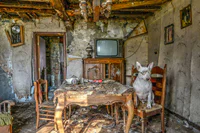 https://image.sistacafe.com/w200/images/uploads/content_image/image/77884/1452224101-me-and-my-dog-explore-abandoned-places-across-europe-12__880.jpg