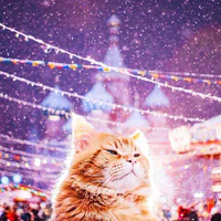 https://image.sistacafe.com/w200/images/uploads/content_image/image/82470/1453106870-moscow-city-looked-like-a-fairytale-during-orthodox-christmas-17__700.jpg