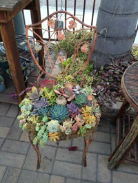 https://image.sistacafe.com/w200/images/uploads/content_image/image/82532/1453109824-recycled-furniture-garden-12__700.jpg