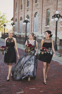 https://image.sistacafe.com/w200/images/uploads/content_image/image/92346/1455293273-Black-V-neck-Lace-Wedding-Gown.jpg