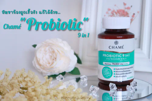 ปัญหาท้องผูกเรื้อรังจนพุงป่อง!? แก้ได้ด้วย Chamé Probiotic 9in1