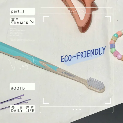 แปรงสีฟัน eco-friendly ใครรักษ์โลกมาทางนี้