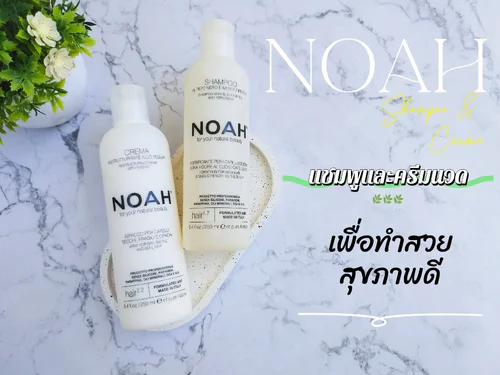 NOAH Shampoo & Cream เซ็ตคู่ขายดี ที่คนผมแห้ง ขาดร่วงง่ายต้องมี