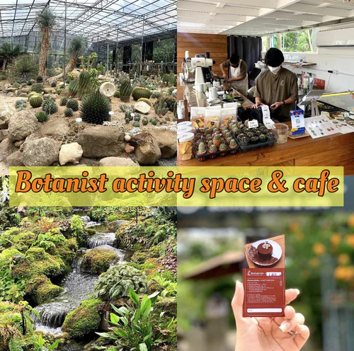 Review  Botanist activity space & cafe