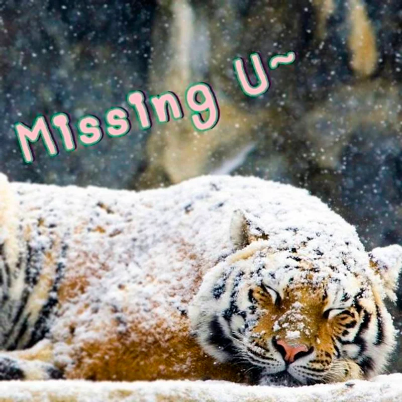 [นิยายY] Winter & Tiger พี่เสือวายร้ายกับนายเหมันต์ (ตอน 1)