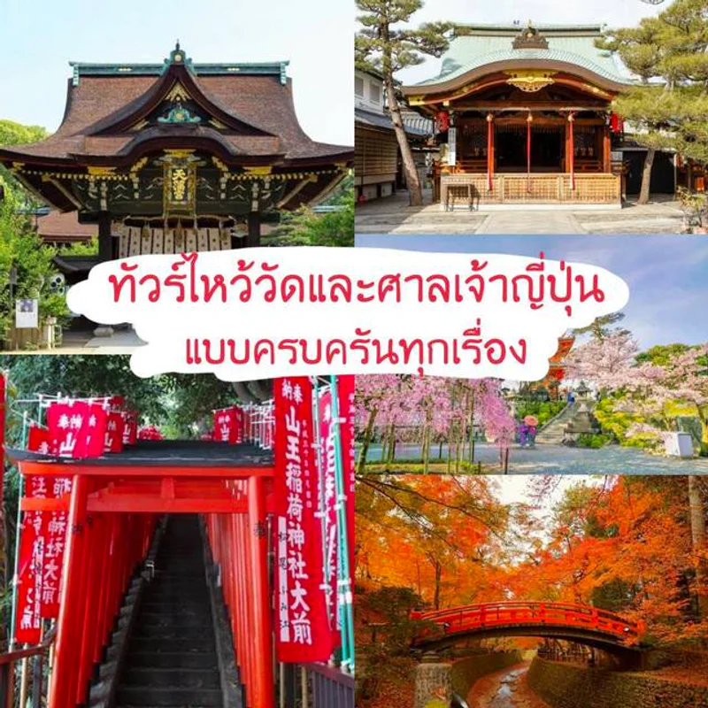 เที่ยวญี่ปุ่นขอพรปีใหม่ ✨ รวม "6 วัดและศาลเจ้าในญี่ปุ่น" ขอโชคลาภ งาน เรียน ความรัก สุขภาพ ครบครัน!