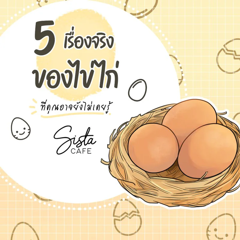 5 เรื่องจริง ของไข่ไก่ ที่คุณอาจยังไม่เคยรู้