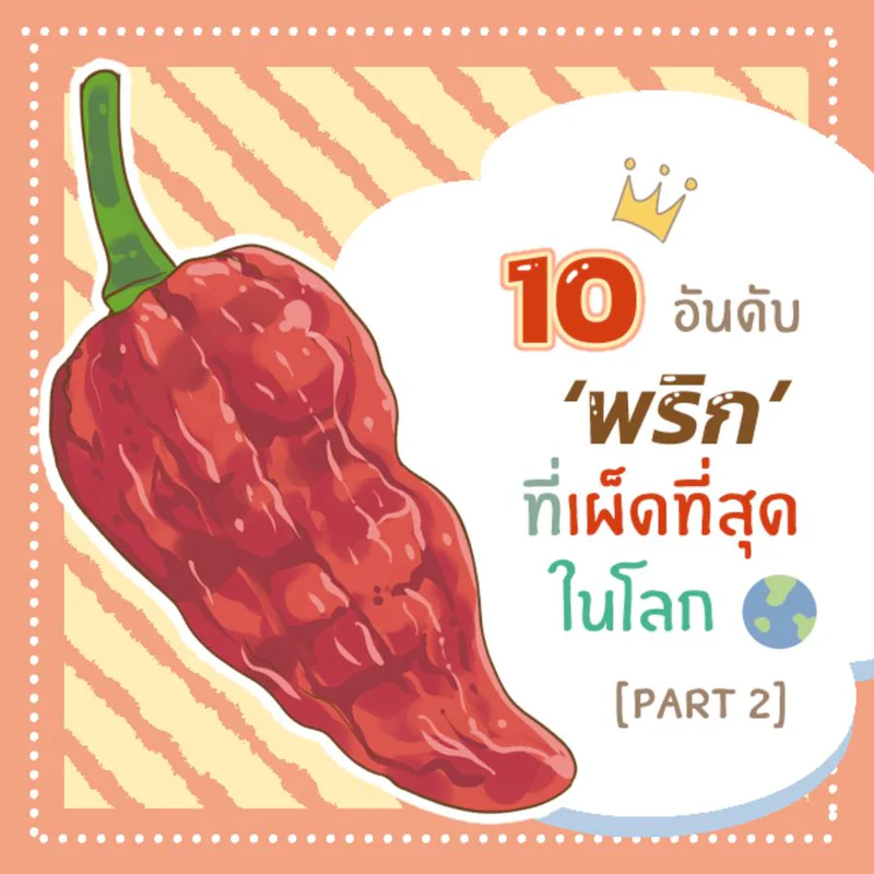 10 ชนิด ‘พริก’ที่เผ็ดที่สุดในโลก ที่แม้แต่คนชอบกินเผ็ดก็อาจกินไม่ไหว [ part 2 ]🌶🌶🌶
