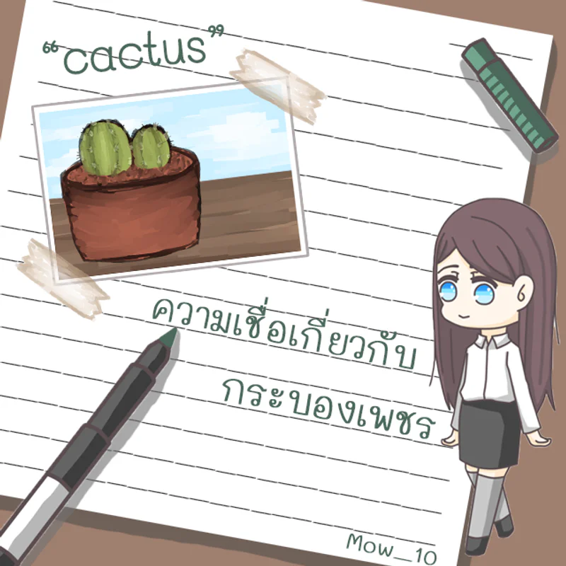 ความเชื่อเกี่ยวกับกระบองเพชร "Cactus"